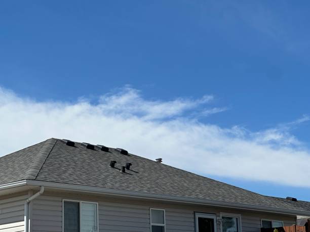 Best Hot Roofs  in Mesa, AZ